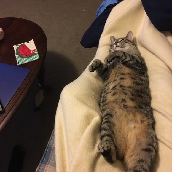 Meet your Posher, Cristina - Picture 6 of 8